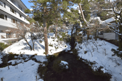 【滝見亭和室】お部屋からの眺め一例です