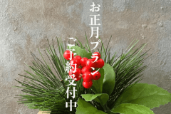 【新年の始まりを川上峡で】龍登園でお正月プラン【1泊2食＋セルフ飲み放題付き】12月31日・1月1日2日限定