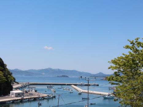 泊浜漁港　宿から徒歩１０分　岸壁から釣りができます