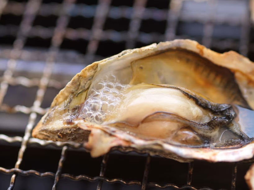 【日帰りランチ・釣り】自分で釣って焼いて食べよう!「伊王島牡蠣焼き魚市」で牡蠣を味わう&ルアーフィッシングパック 【日帰りランチ・釣り】自分で釣って焼いて食べよう!「伊王島牡蠣焼き魚市」で牡蠣を味わう&ルアーフィッシングパック