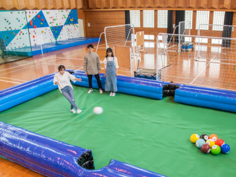 ビリヤードサッカー