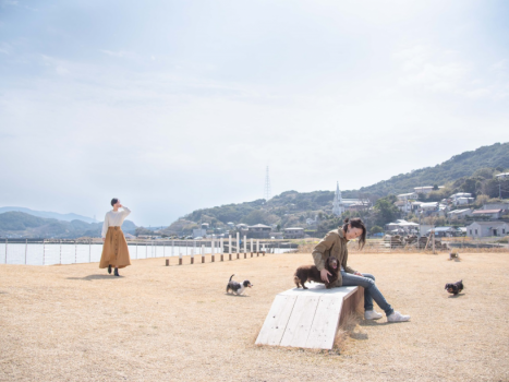 PORT AREA ドッグラン