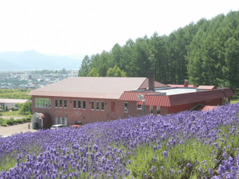 7・8月限定プラン！夏の道産食材・富良野名物と贅沢和食が楽しめる「森のビュッフェ」【朝食付】
