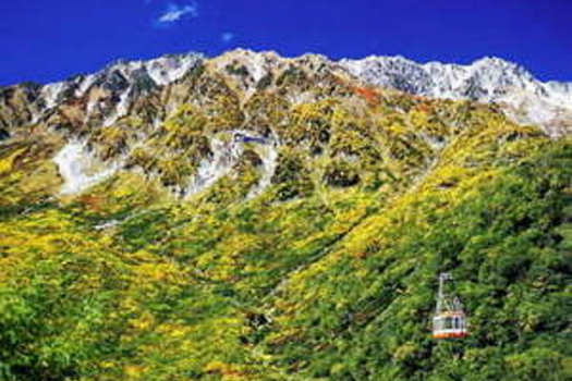 大観峰～黒部平ロープーウェイ　紅葉見頃は10月中旬