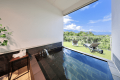 ペット同伴可｜E棟〈プレミアム クリスタルスイート　Spa  with Dogs〉