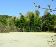 シンプルオートサイト (電源・水道なし)
２サイトのみ　(区画は虎ロープで仕切り)