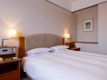 Double Room (non-smoking) Double Room (non-smoking)