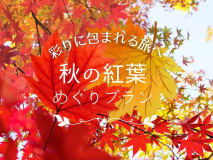 秋の紅葉めぐりプラン 秋の紅葉めぐりプラン