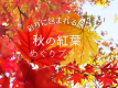 秋の紅葉めぐりプラン