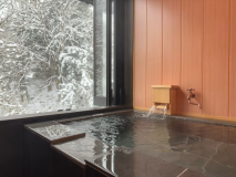 Hot spring in the room