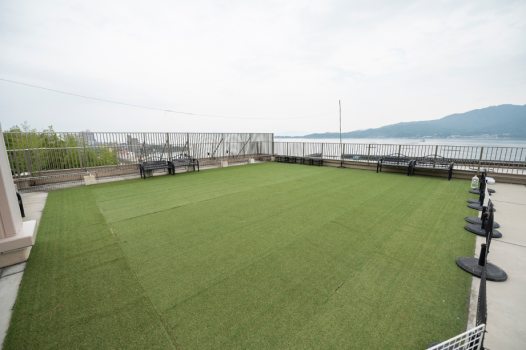 屋上のドッグランです。厳島を望む景色の中、広々走り回れます。