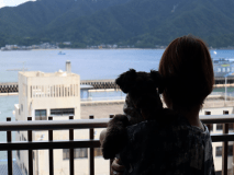 ワンちゃんとのんびりと行き交うフェリーを見ながら