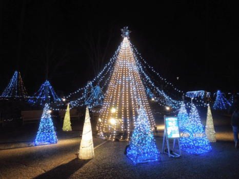 AZUMINOイルミネーションイメージ写真