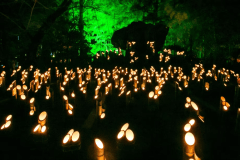 1万本以上の竹灯籠