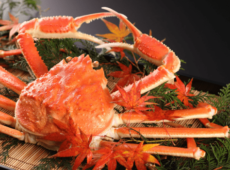 松葉蟹イメージ