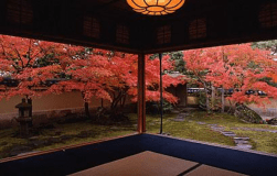 SH【夕食部屋食】足立美術館入館券付きプラン★ スタンダード会席♪海の幸＆鳥取県産和牛付／游月インフィニティ入浴特典