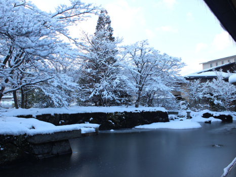 ラウンジから眺める日本庭園。冬は美しい雪化粧をご覧いただけます。