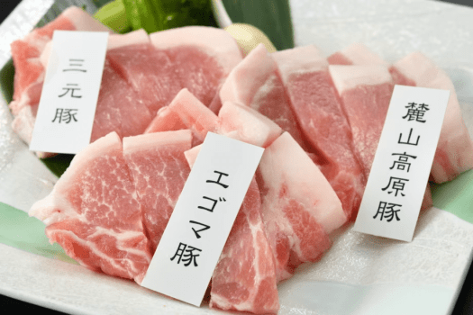 【メインの福島ブランド肉が２倍！】旨！甘！さっぱりブランド豚の満喫まんぷくプラン♪1泊2食付き