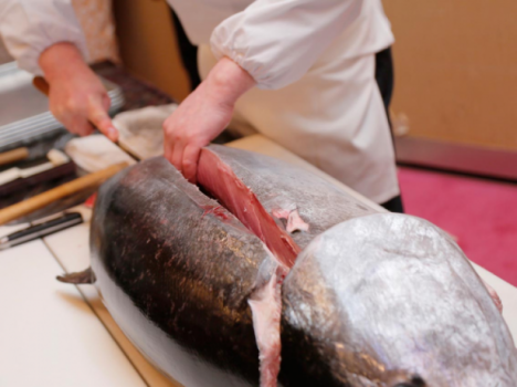 大好評の『まぐろの解体ショー』捌いたマグロはお寿司や刺身で提供 大好評の『まぐろの解体ショー』捌いたマグロはお寿司や刺身で提供