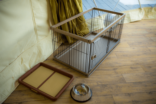 【SPA Suite・Suite Dog】 4 beds, 8m in diameter <"Pet Friendly"> dome shaped tent.