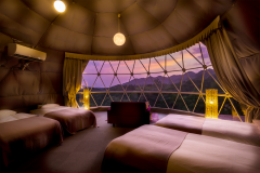 【顶级花园】4张床，直径7米（"惊人"）的圆顶帐篷