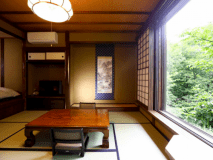 川胡桃客室：窓から手を伸ばすと川胡桃の木に手が届きそう。