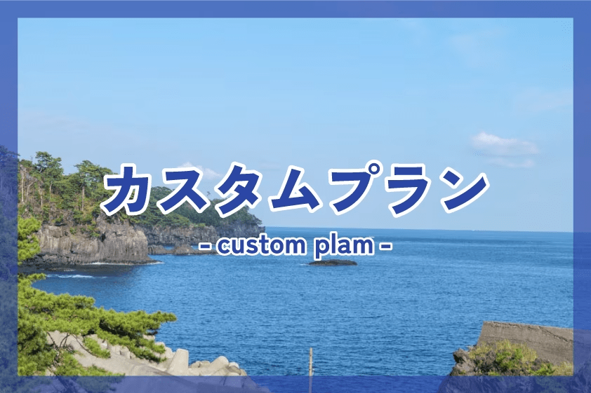 カスタムプラン