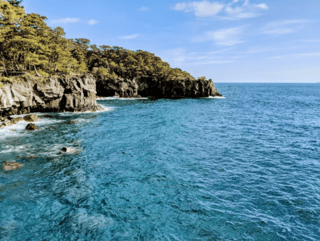 【食養生コース】【アイウェルネスプラン】リラックス効果を高めるマッサージや高気圧酸素ボックスが付いた、一押しのプラン