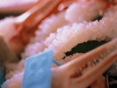 【至高の温泉とかに】タグ付ブランド活蟹を食す◆贅沢プラン【温泉露天風呂付き客室or温泉内湯付き客室】