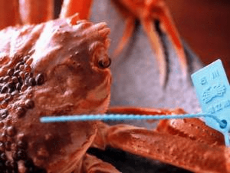 【至高の温泉とかに】タグ付ブランド活蟹を食す◆贅沢プラン【温泉露天風呂付き客室or温泉内湯付き客室】