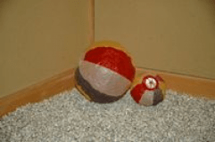 アニバーサリープラン