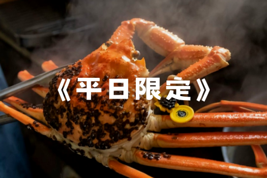 《平日限定》越前がにを味わえるライトプラン