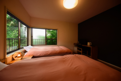 Twin Room/Included Toilet and shared Wash basin/ (RURI)