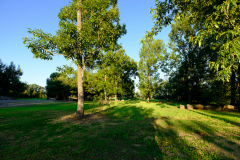 オートキャンプ場