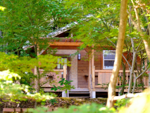 木々に囲まれたログハウス　一例