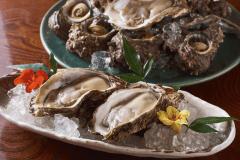 素潜りで獲る岩牡蠣。生で食べるのが一番おいしい！！
時期は6月中旬から7月末までご提供できます。