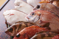 庄内浜から揚がるお魚です
