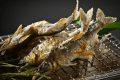 【鮎懐石】香魚薫る盛夏の饗宴