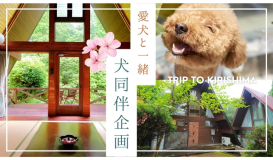 大切なご愛犬と一緒に宿泊できるプランです♪