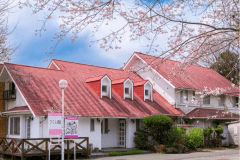 【別館ペンション棟】和室◇禁煙（洗面台共用）　コミック読み放題♪