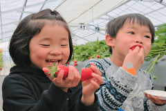 【旬のもぎたていちご食べ放題】いちご狩り体験宿泊プラン☆2食付☆