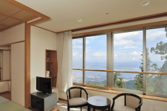 特別和洋室（窓からの眺望）