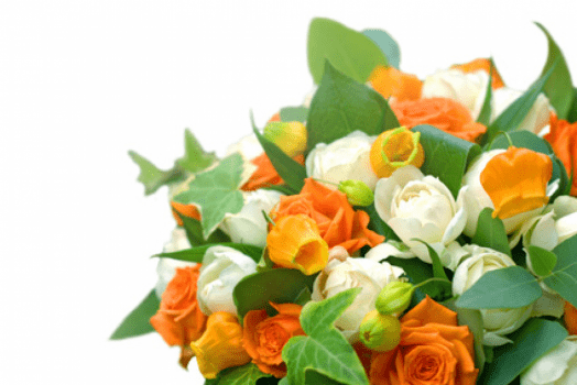 記念日お祝いプラン