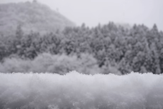 【冬の静養】料理をゆっくり味わう 1泊ご滞在プラン