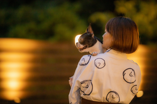 愛犬と遊ぶ！宿泊する！ワンちゃん”歓迎”の御宿ー小松家 八の坊ー