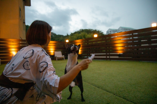 愛犬と遊ぶ！宿泊する！ワンちゃん”歓迎”の御宿ー小松家 八の坊ー