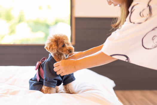 【新開】511 (115㎡)