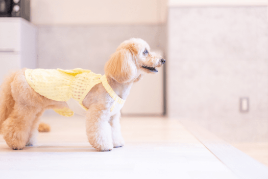 【新開】311 (86㎡)