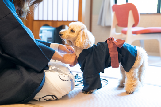 愛犬と遊ぶ！宿泊する！ワンちゃん”歓迎”の御宿ー八の坊ー
