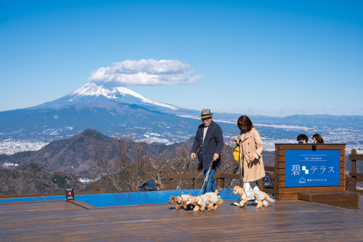 伊豆パノラマパークは八の坊から徒歩圏内！富士山を見渡せる360度のパノラマでワンちゃんとお散歩！